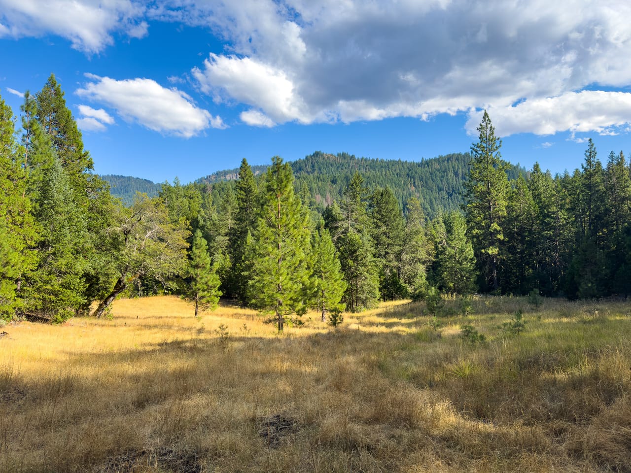 Listing Image 66