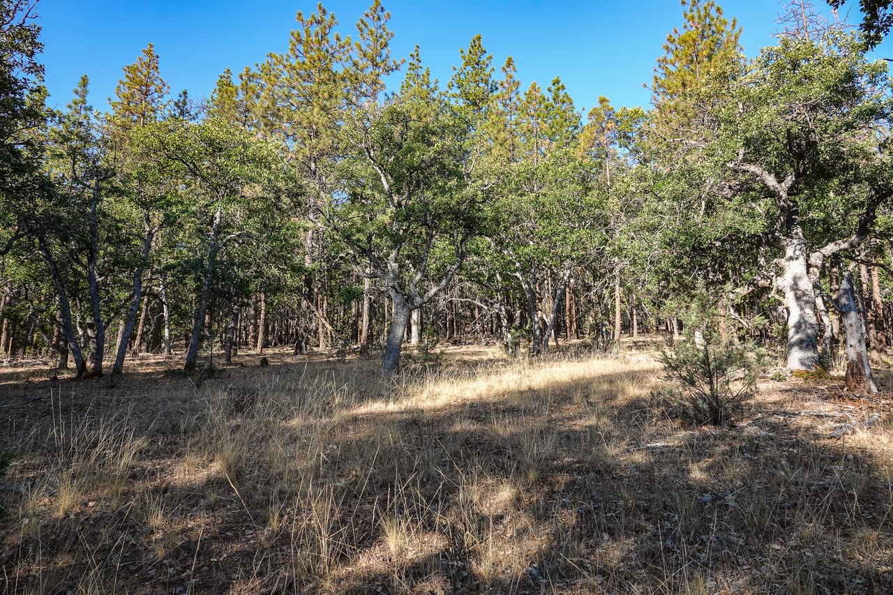 Listing Image 21