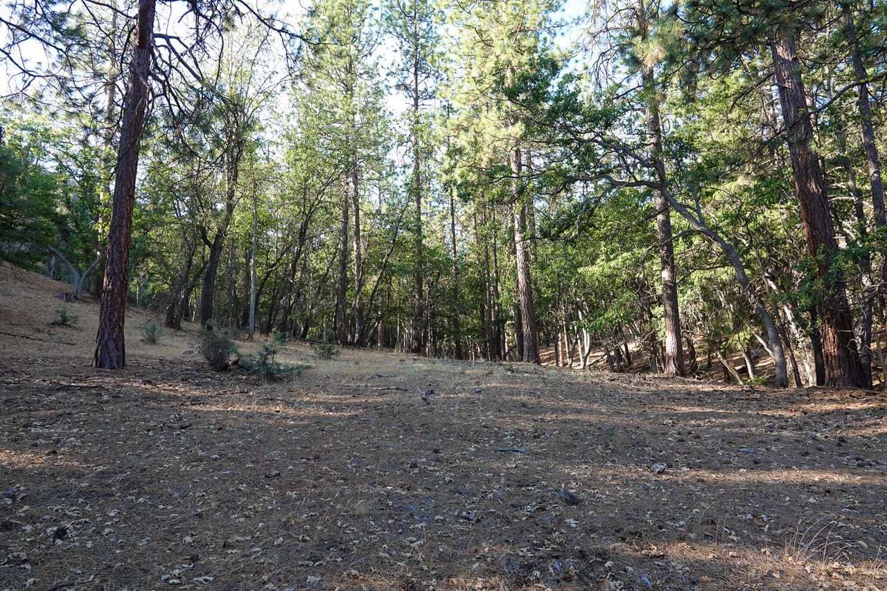 Listing Image 24