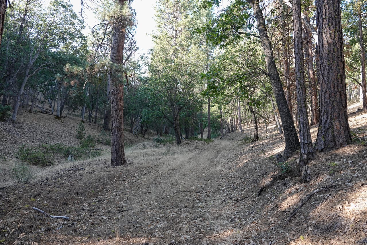 Listing Image 41