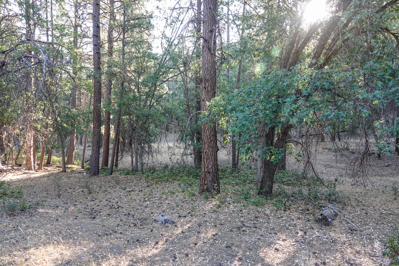 Listing Image 43