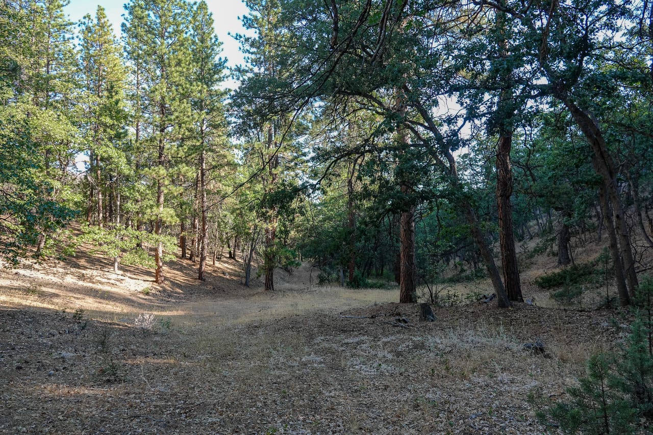 Listing Image 56