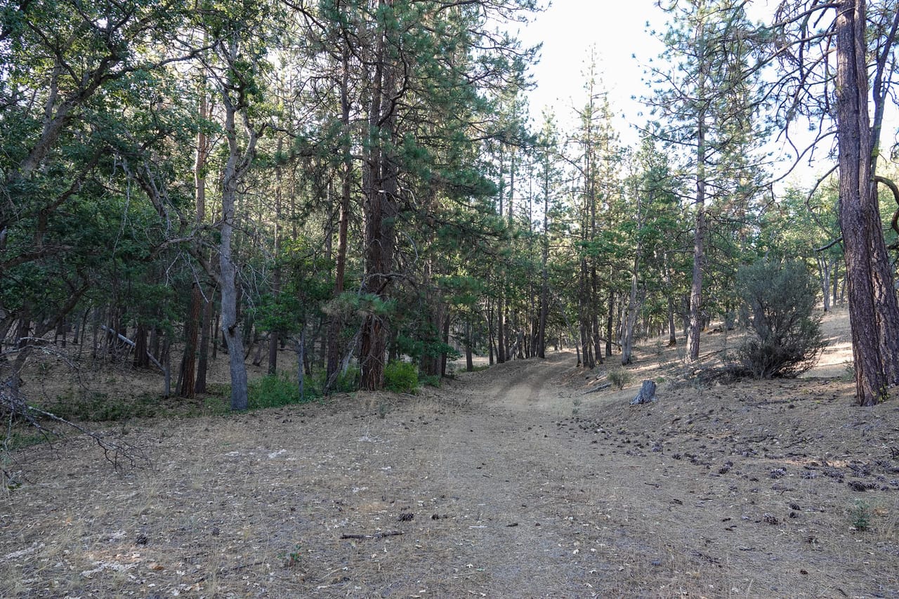Listing Image 10