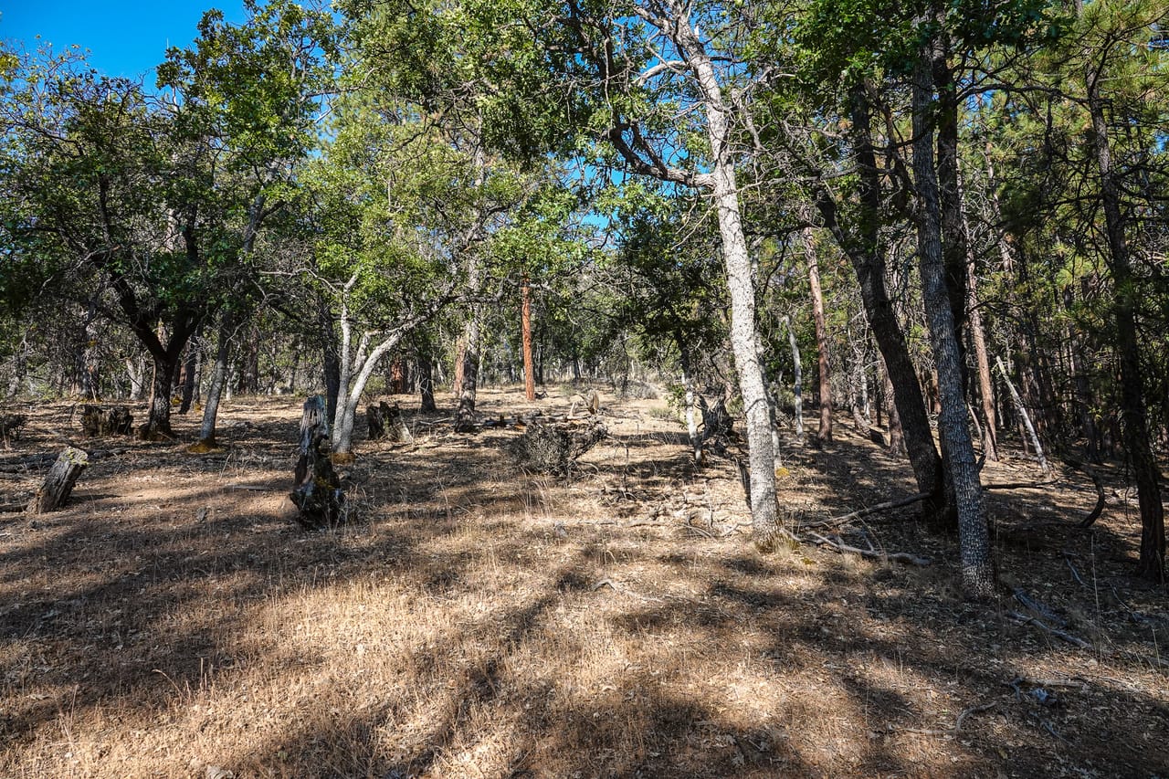 Listing Image 12