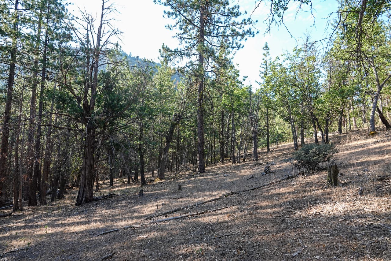 Listing Image 13