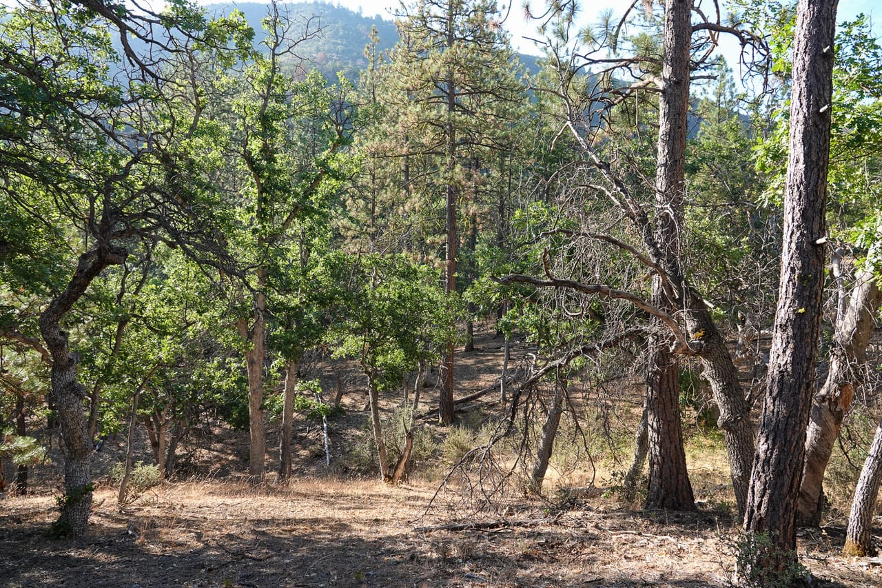 Listing Image 15