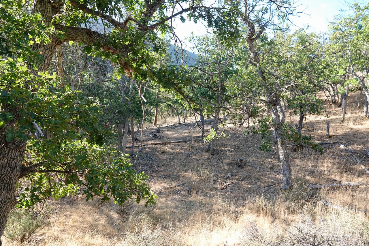 Listing Image 17