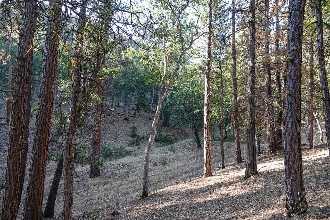 Listing Image 18