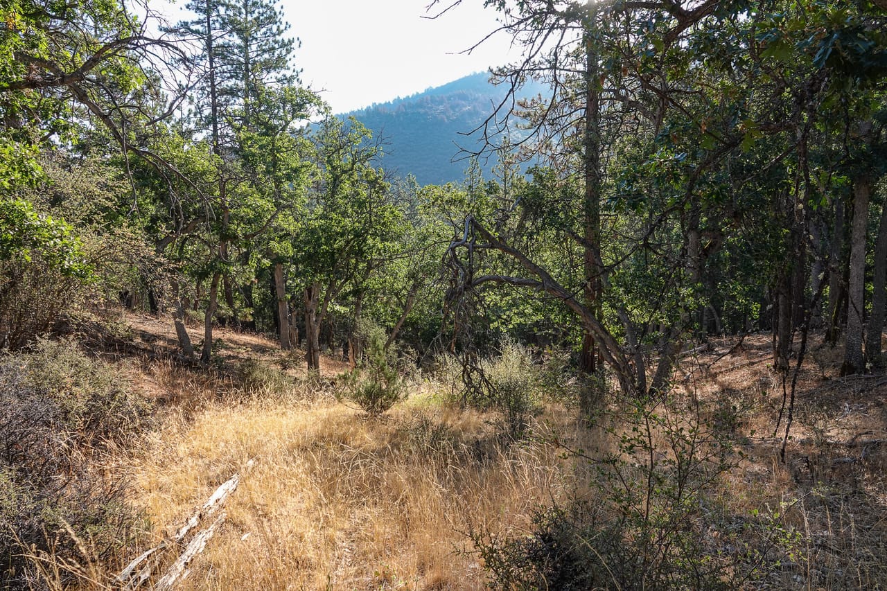 Listing Image 25