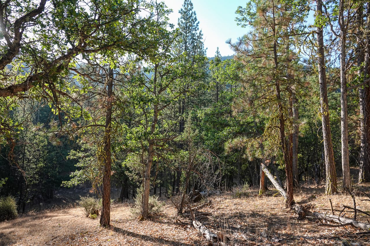 Listing Image 40