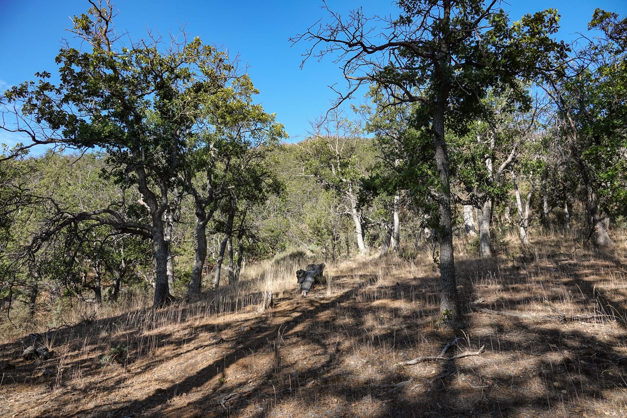 Listing Image 45