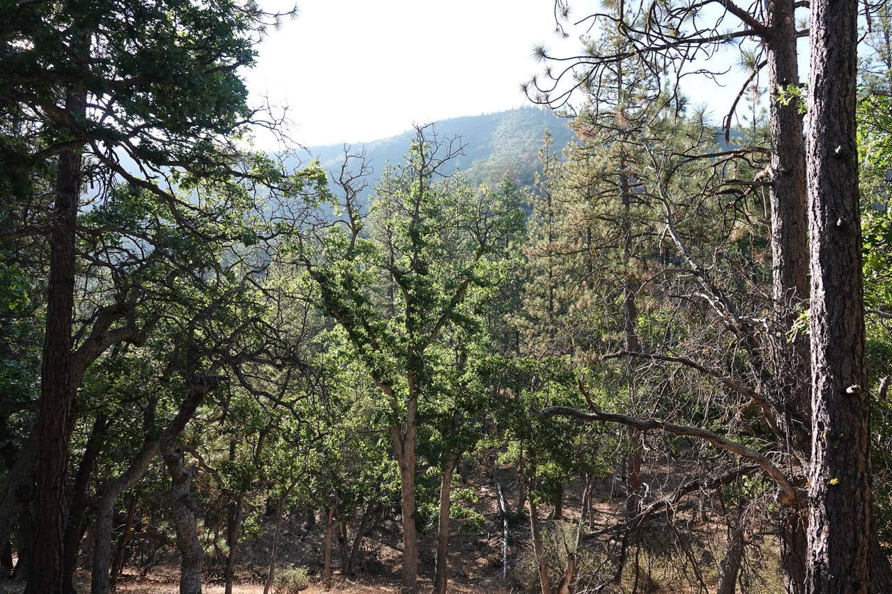 Listing Image 49