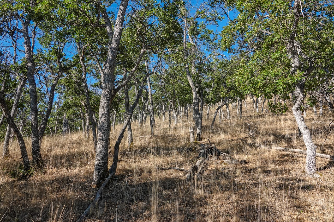 Listing Image 53