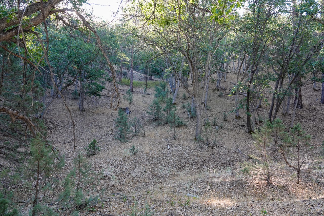 Listing Image 54
