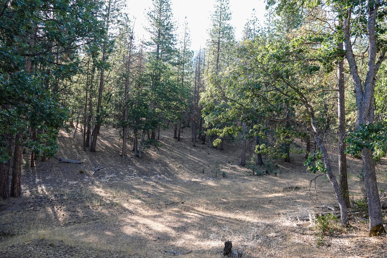 Listing Image 55