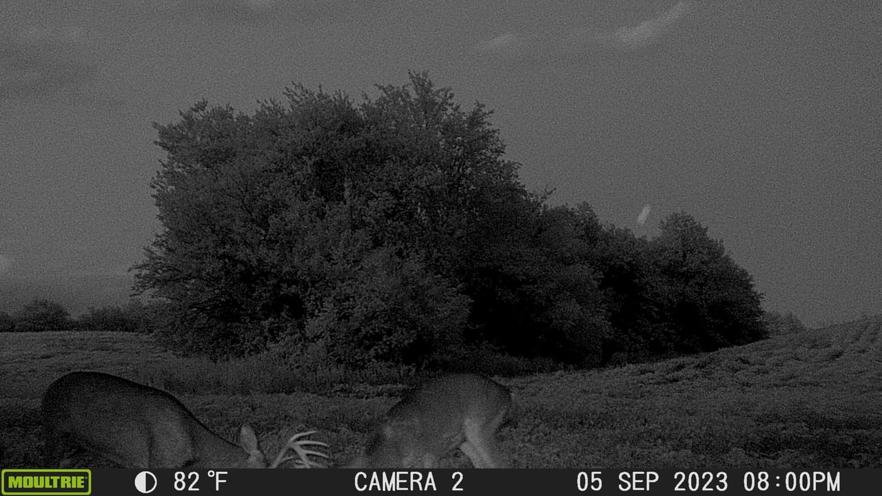 Listing Image 29