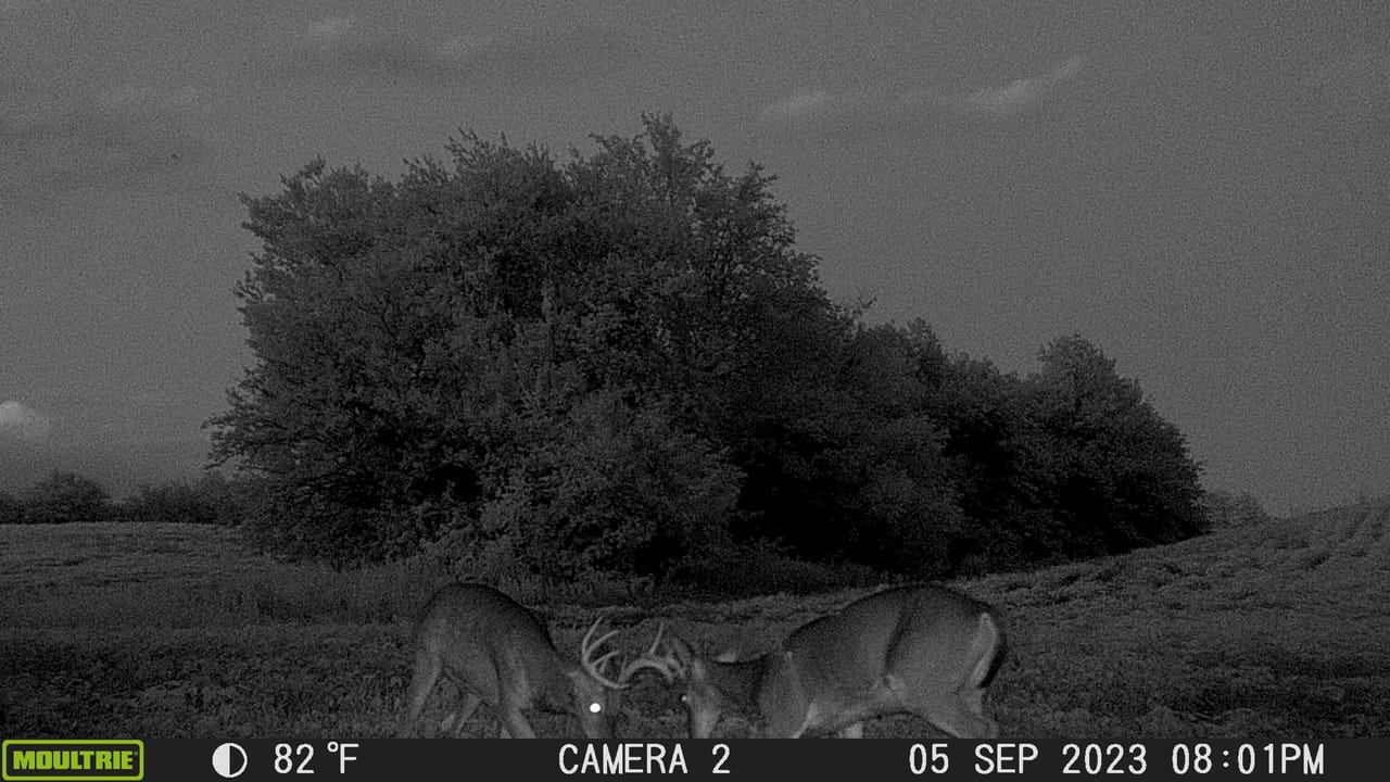Listing Image 32