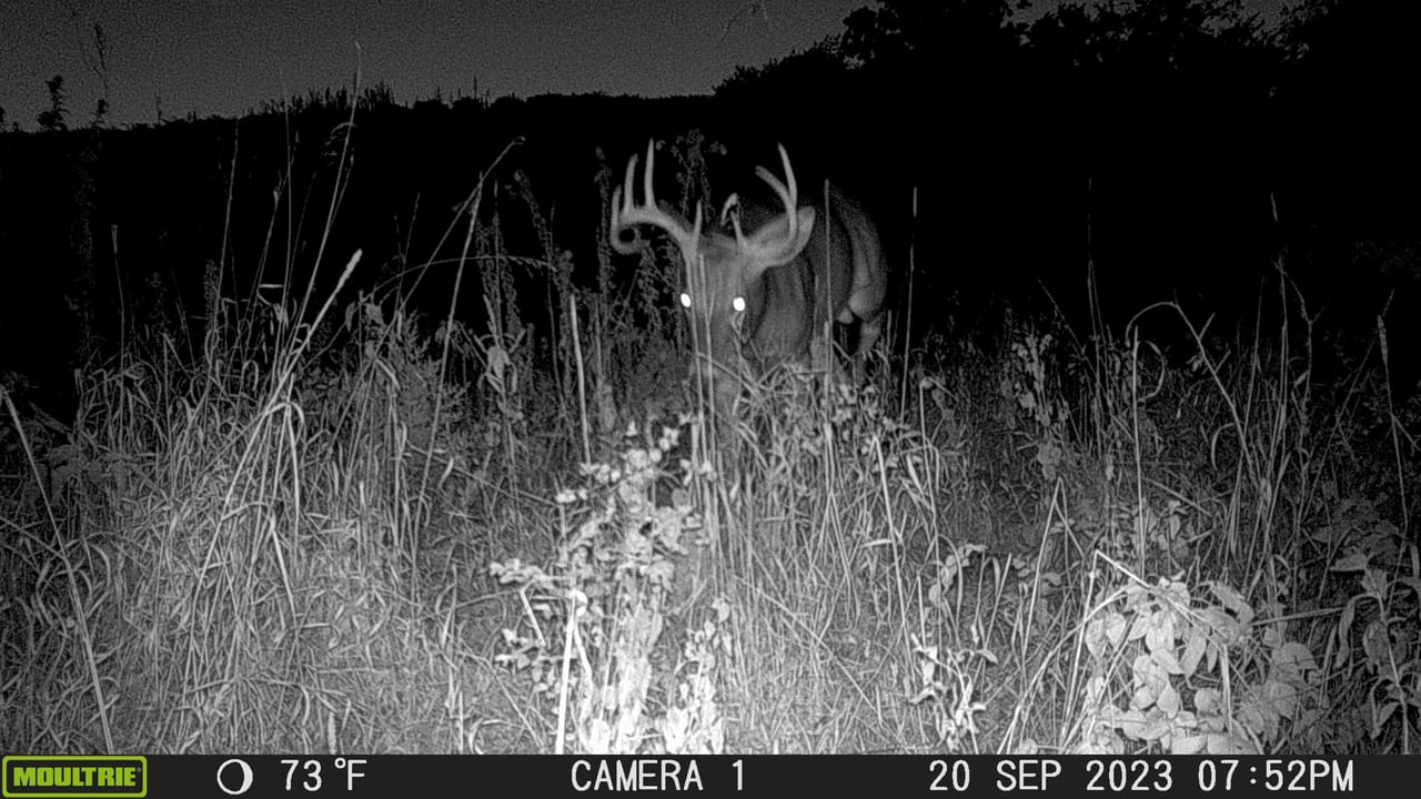 Listing Image 4