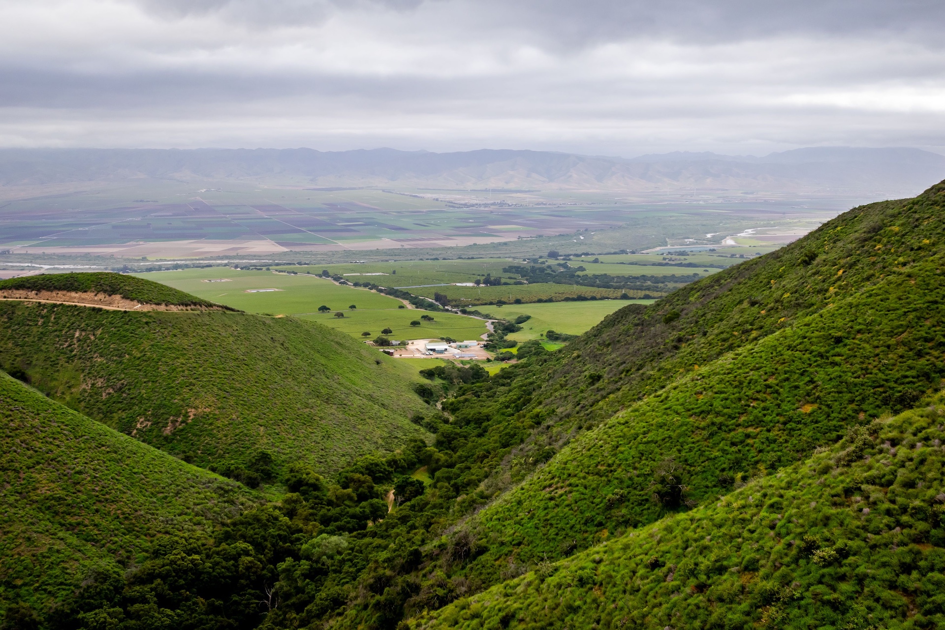 Boekenoogen Santa Lucia Highlands Vineyard