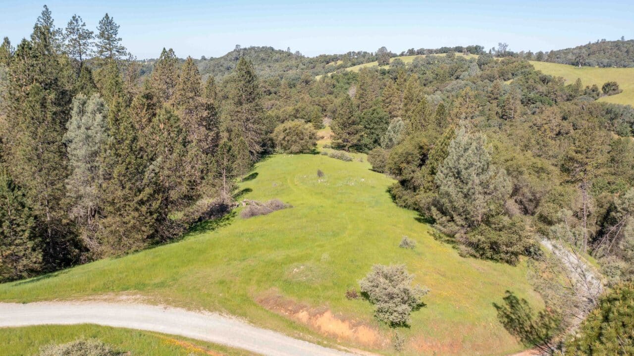 Listing Image 42