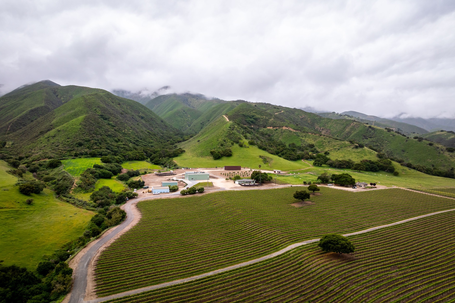 Boekenoogen Santa Lucia Highlands Vineyard