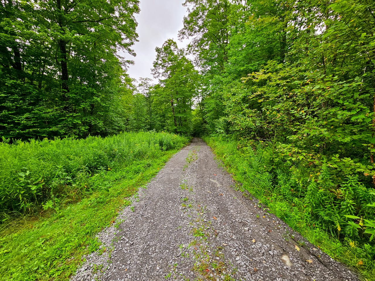 Listing Image 26