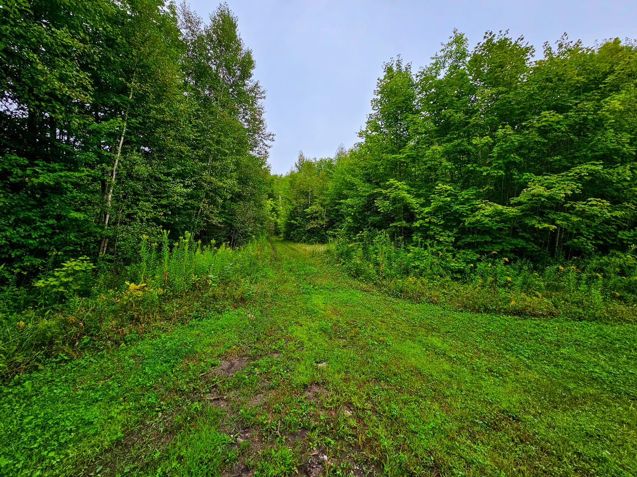 Listing Image 30