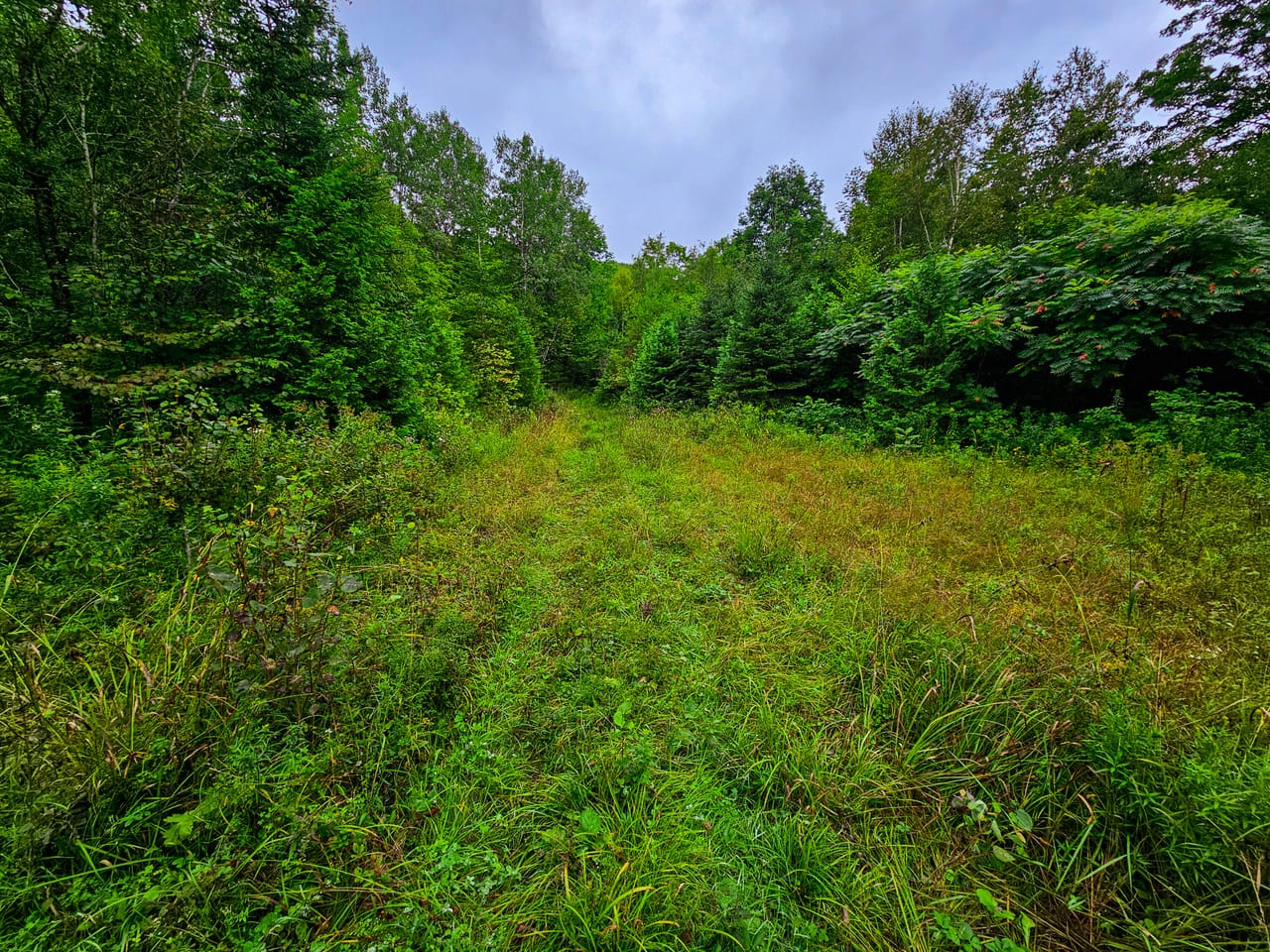 Listing Image 34