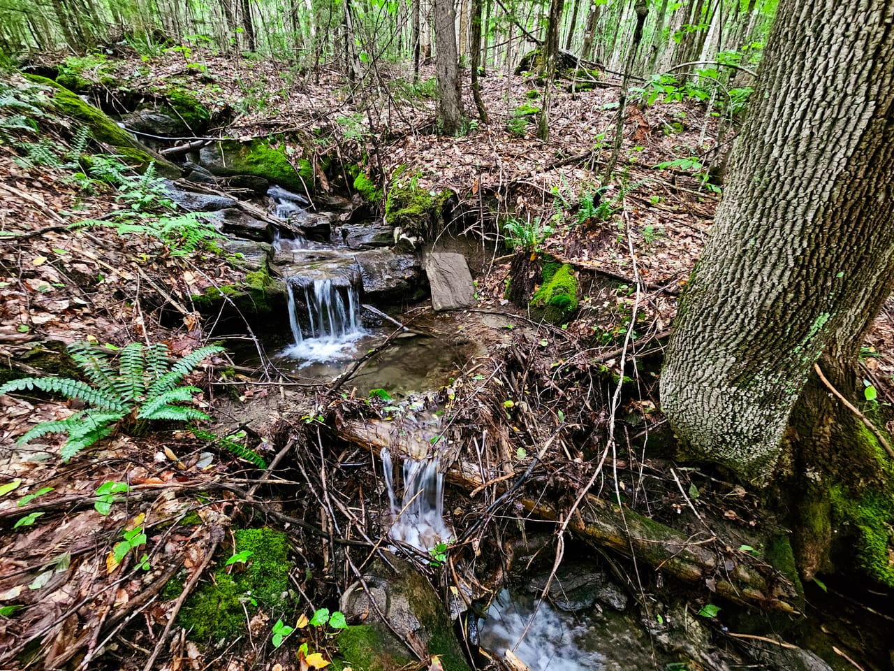 Listing Image 14