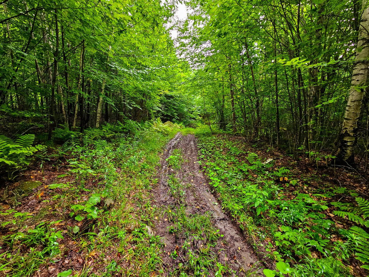 Listing Image 16