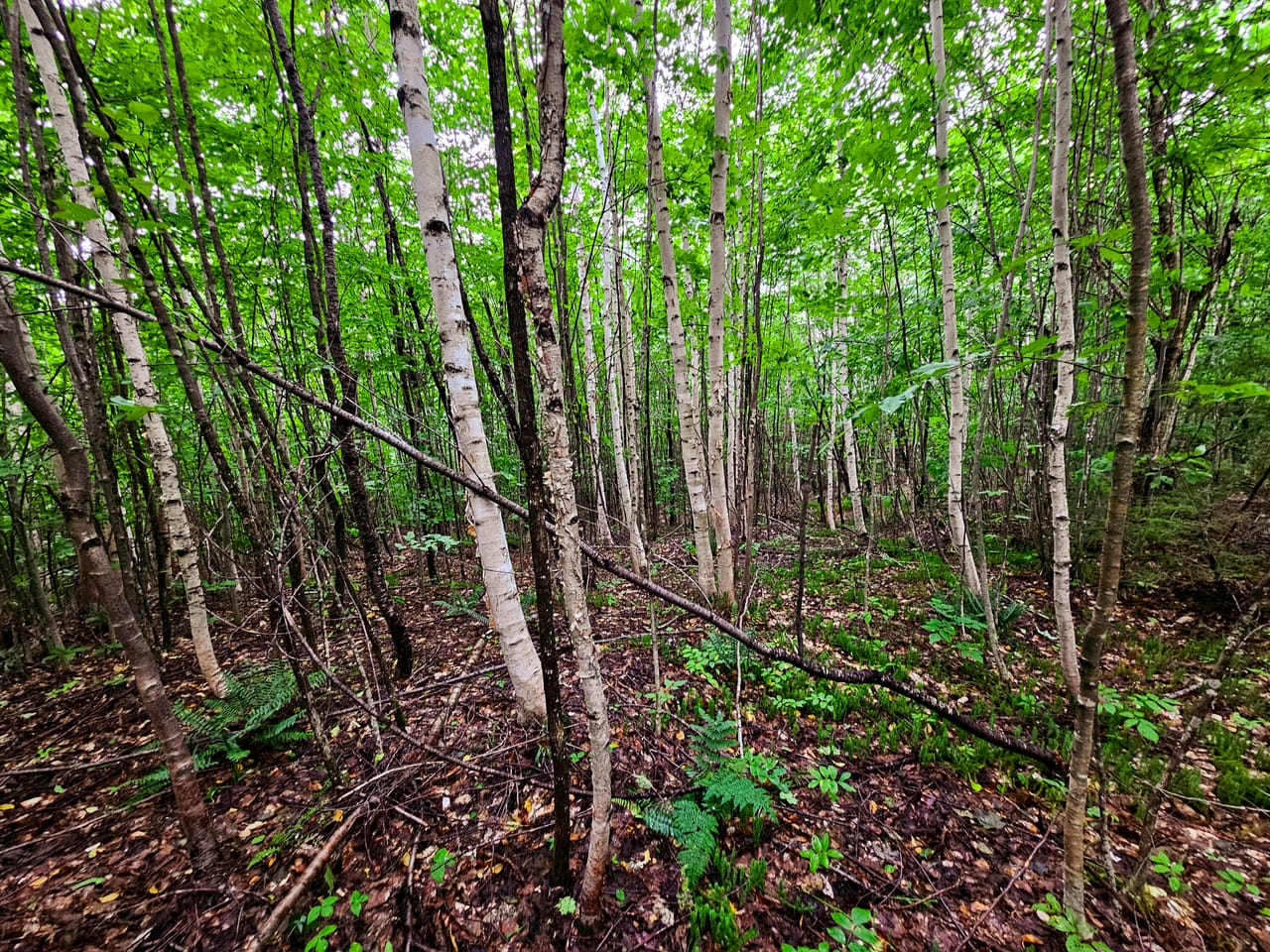 Listing Image 18