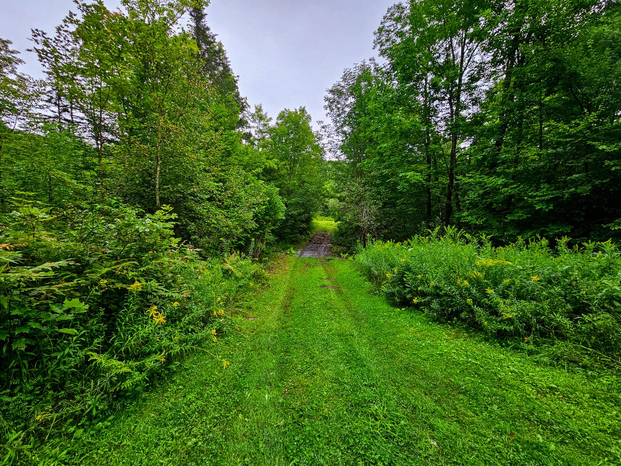 Listing Image 42