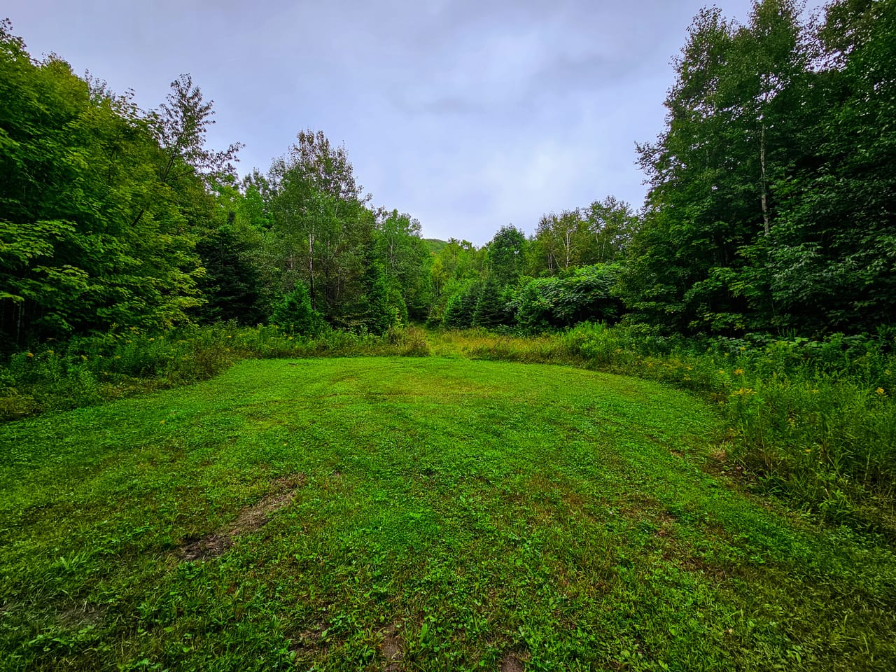 Listing Image 45