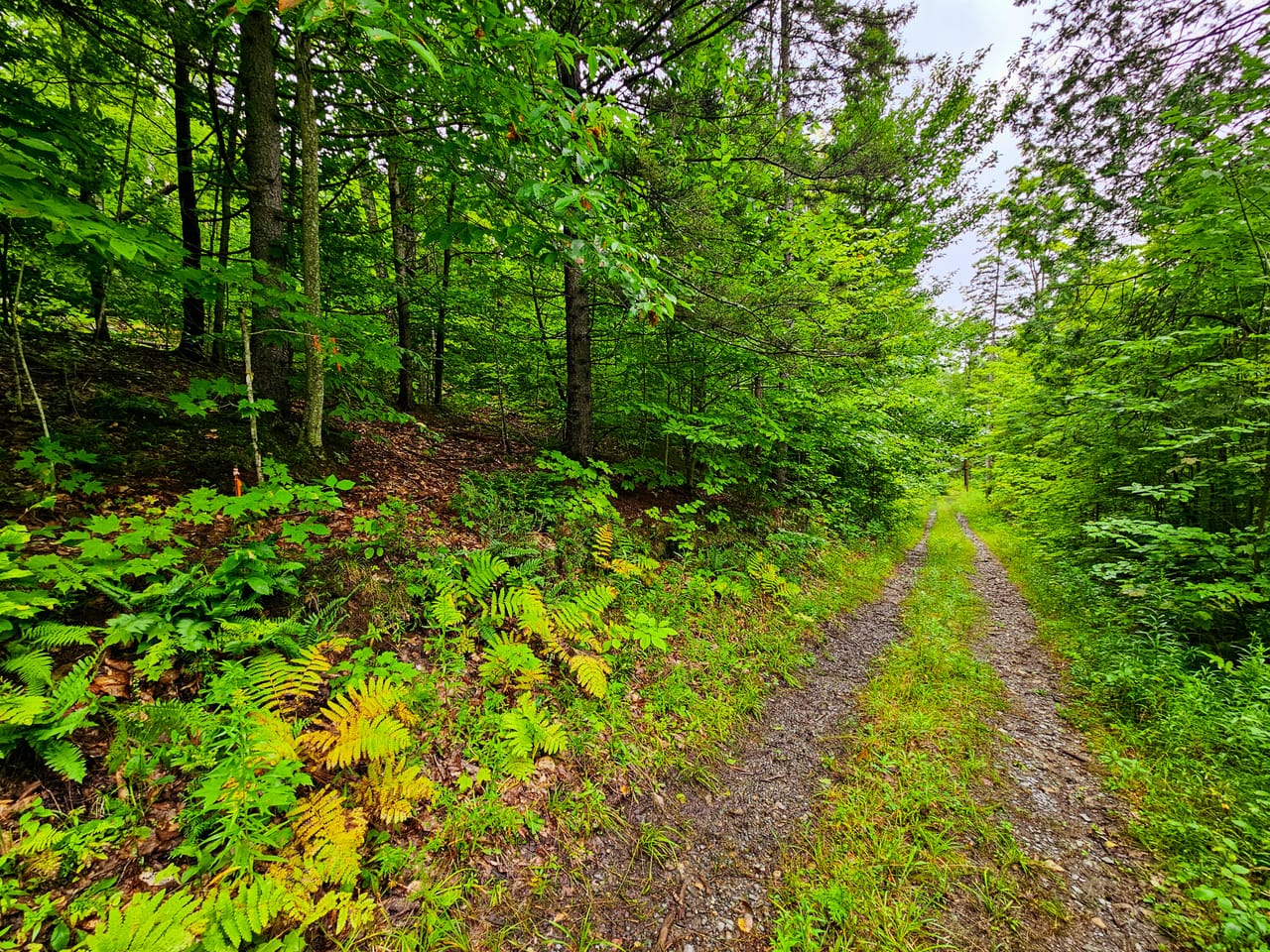 Listing Image 51