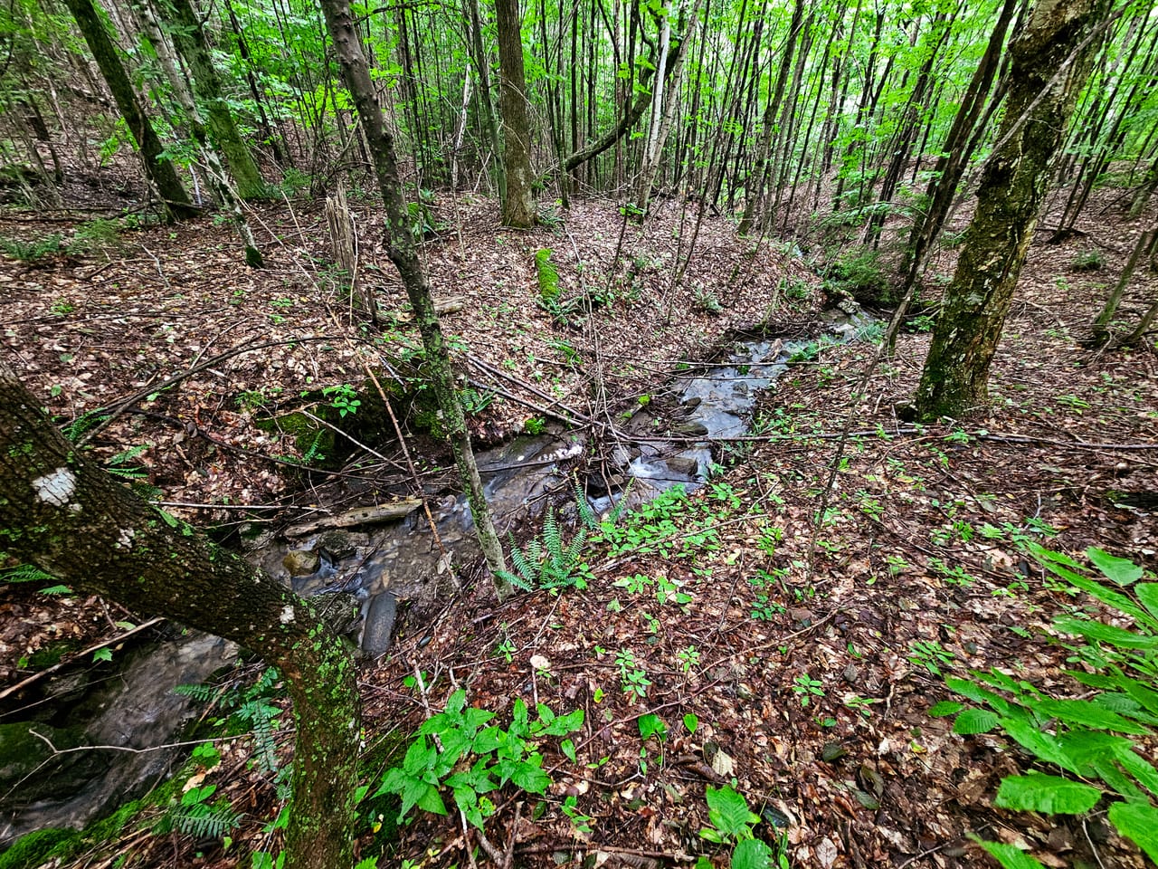 Listing Image 60