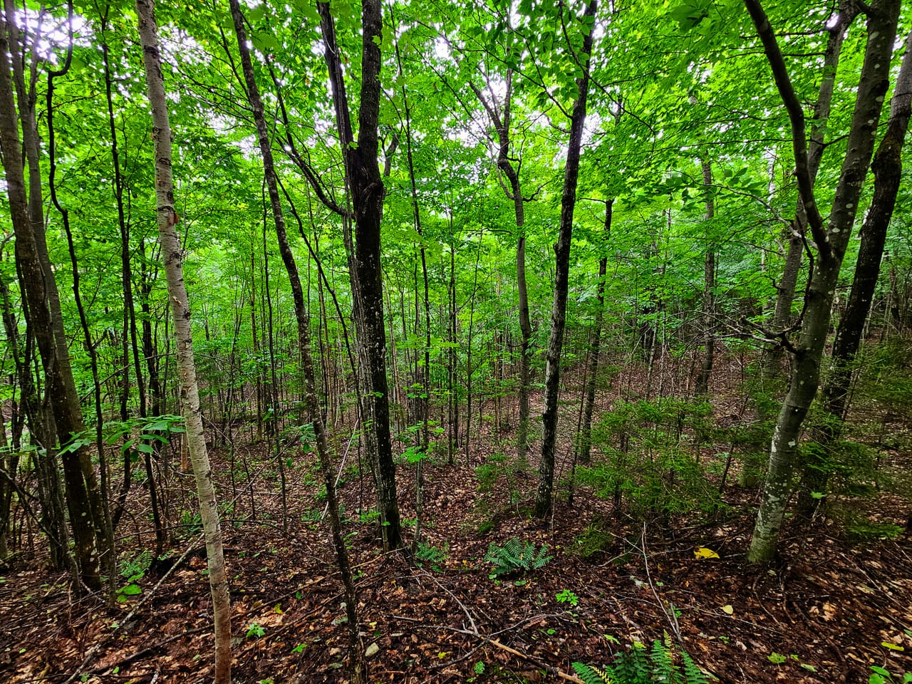 Listing Image 65