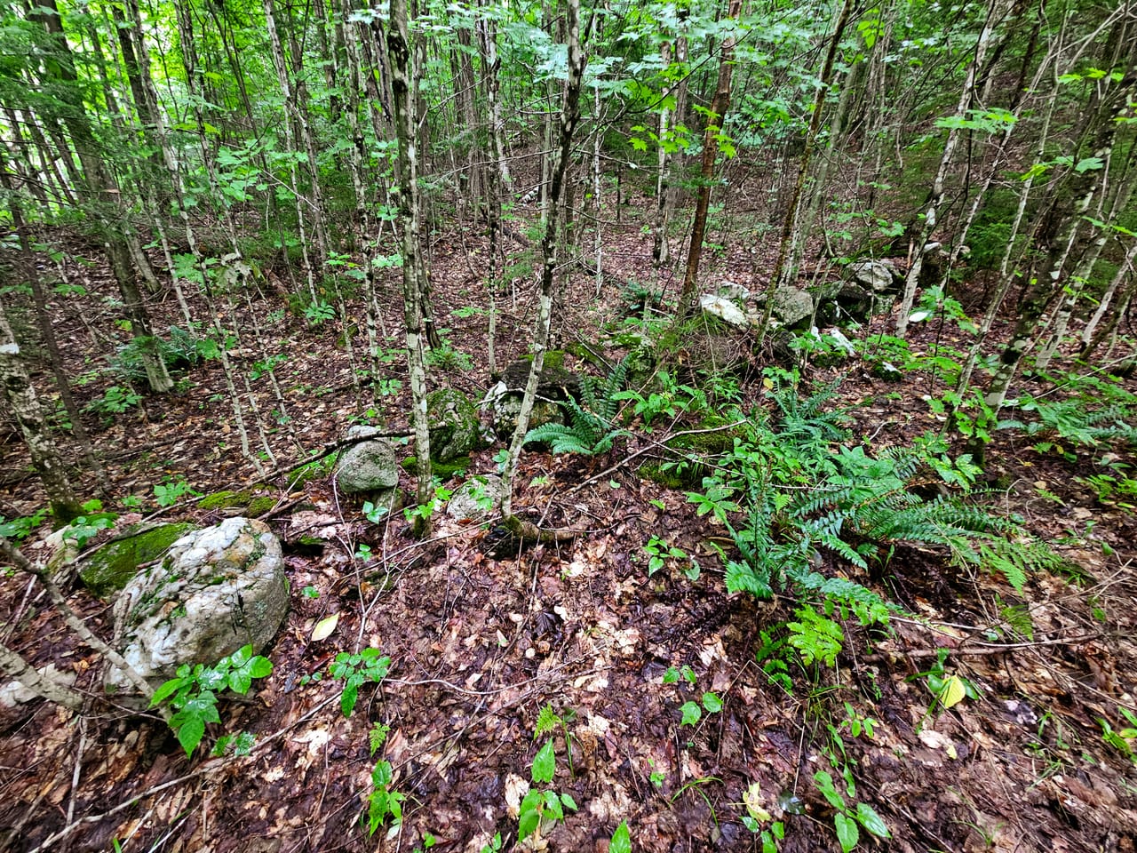 Listing Image 66