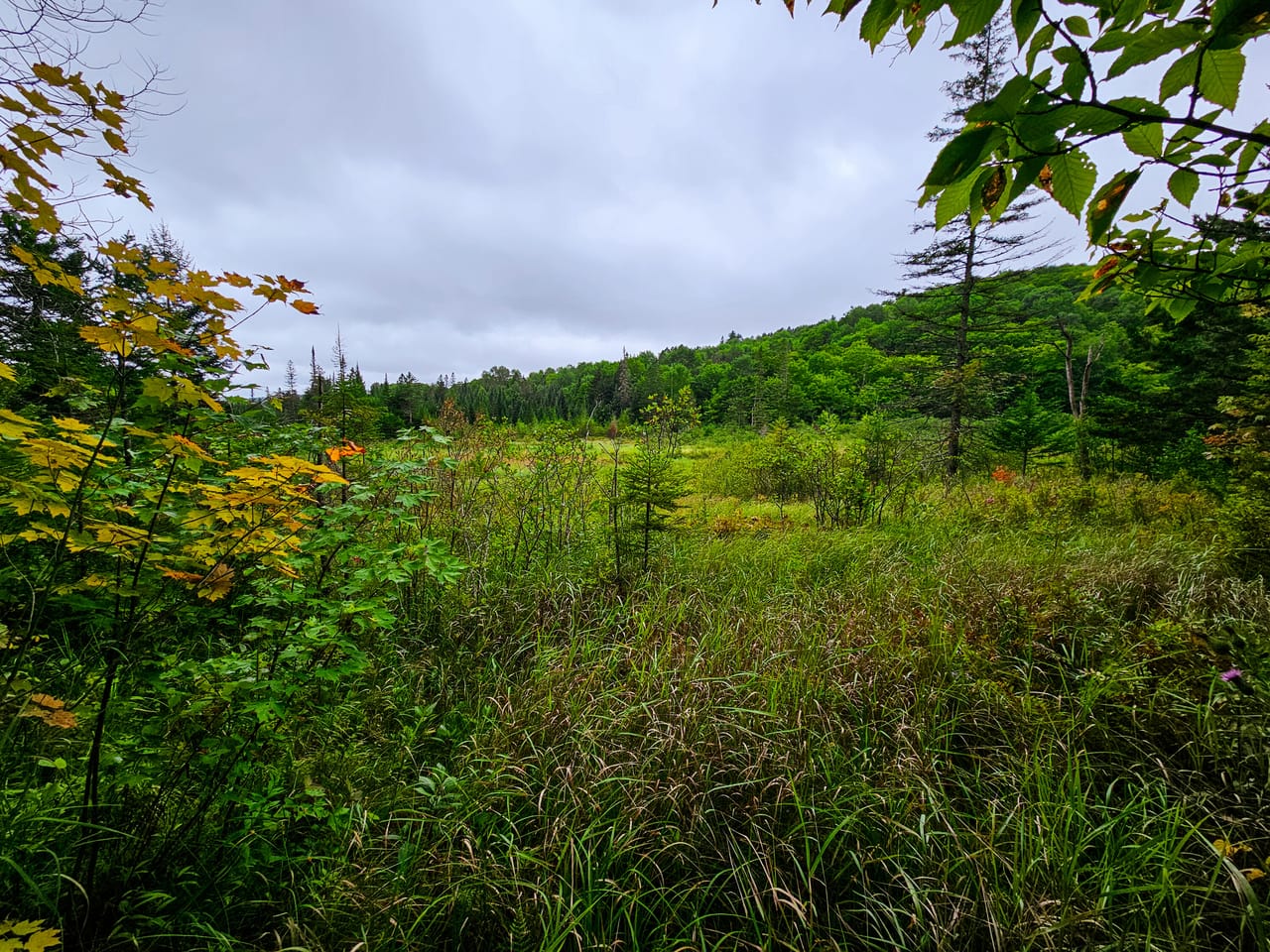 Listing Image 68