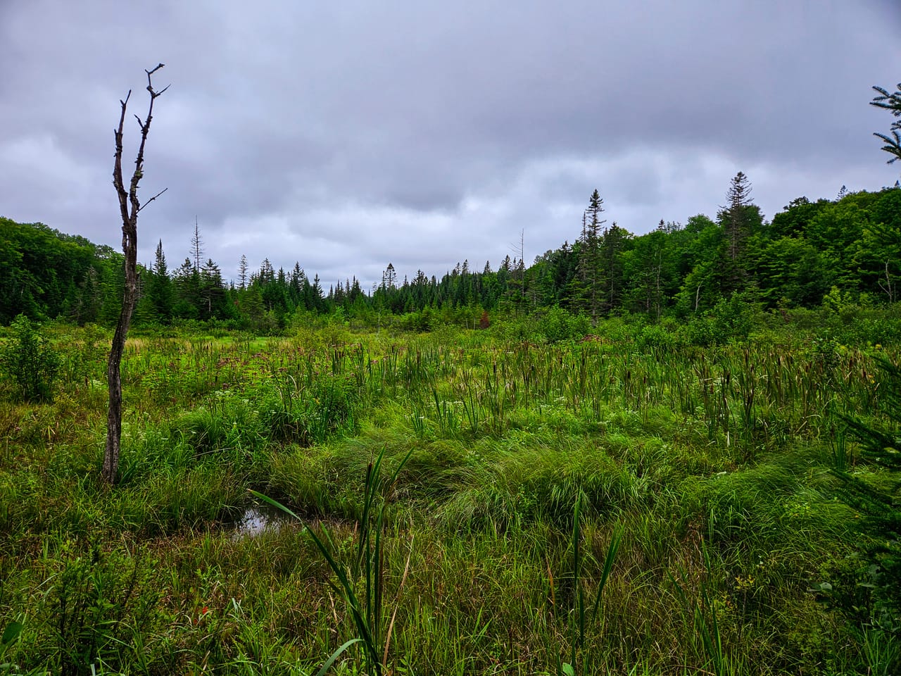Listing Image 70