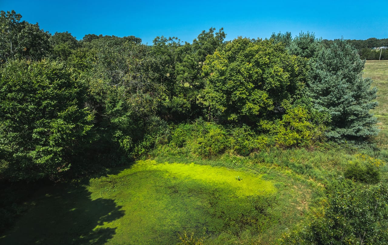 Listing Image 55