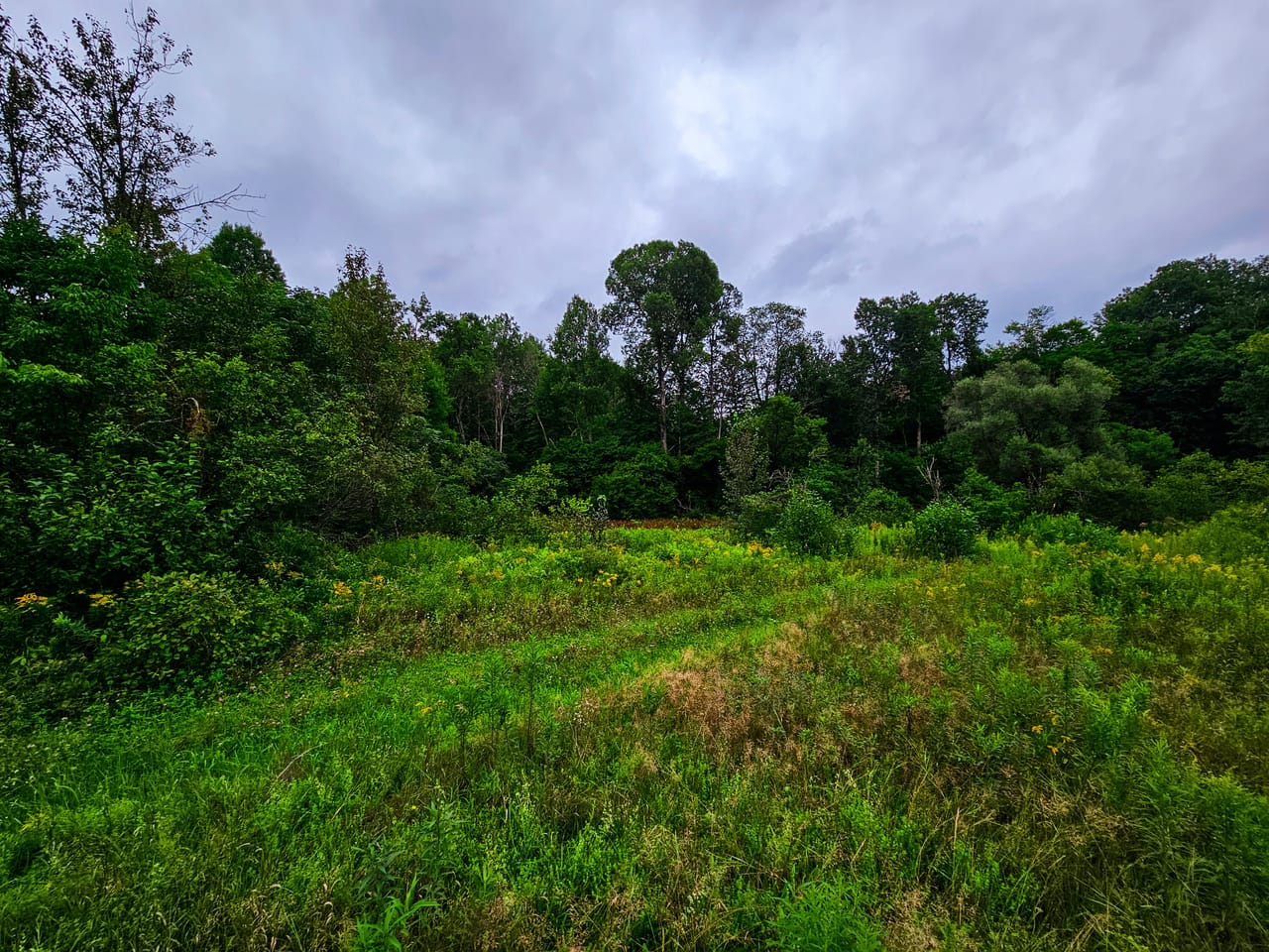 Listing Image 17