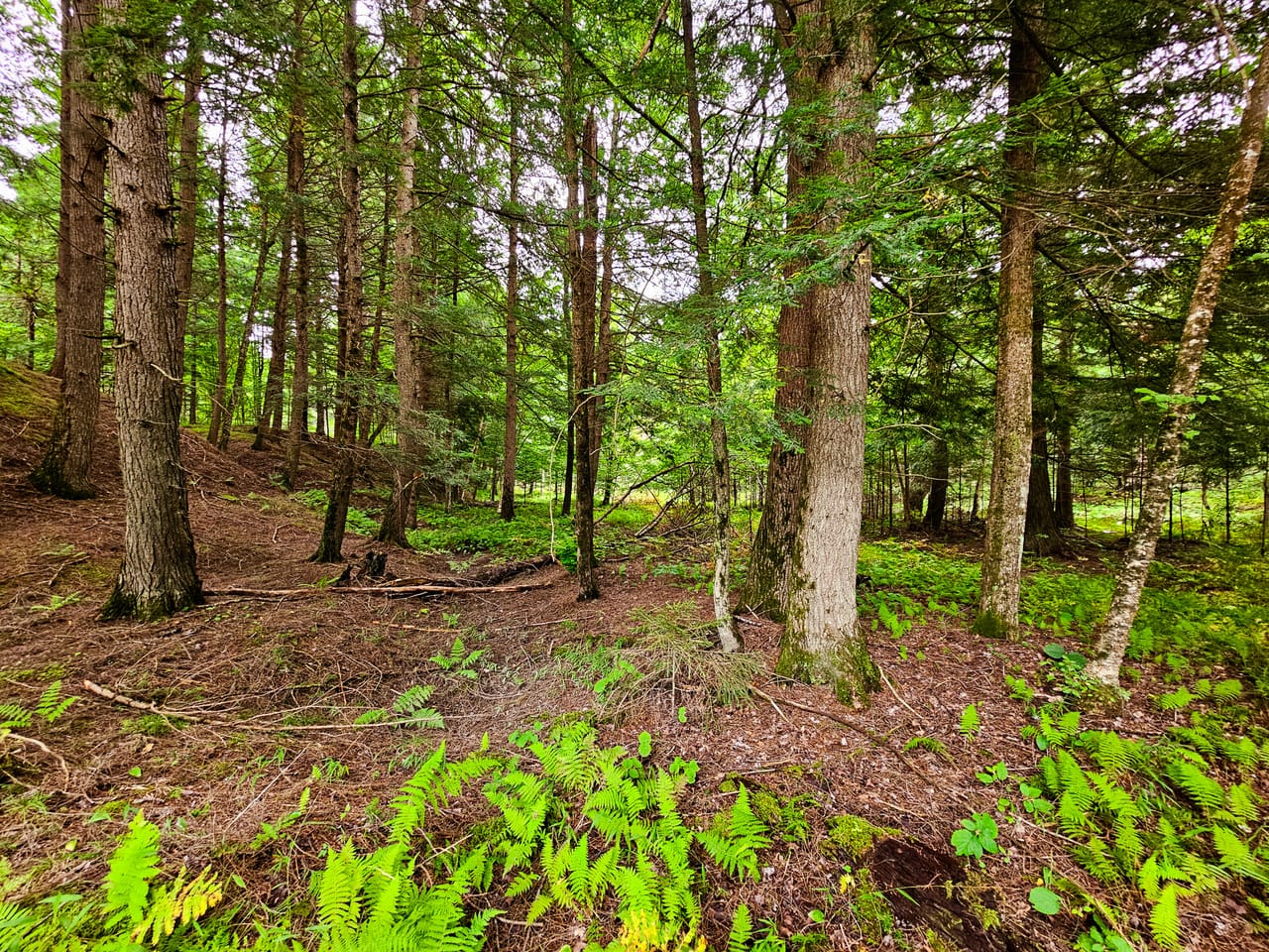 Listing Image 23