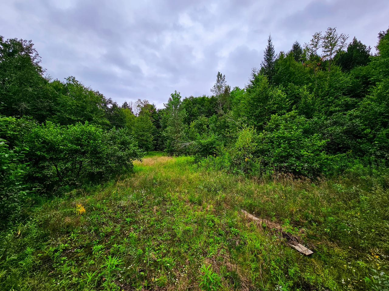 Listing Image 31