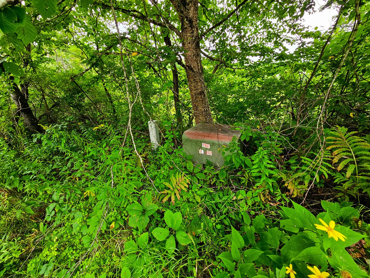 Listing Image 55