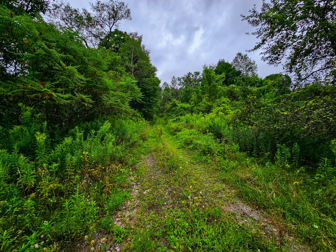 Listing Image 58
