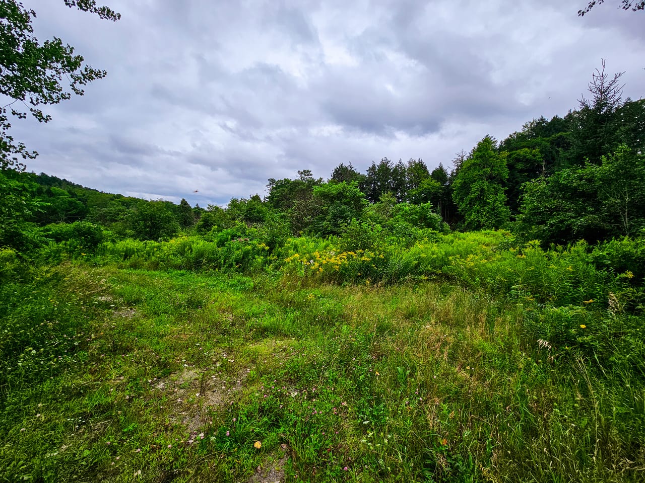 Listing Image 59