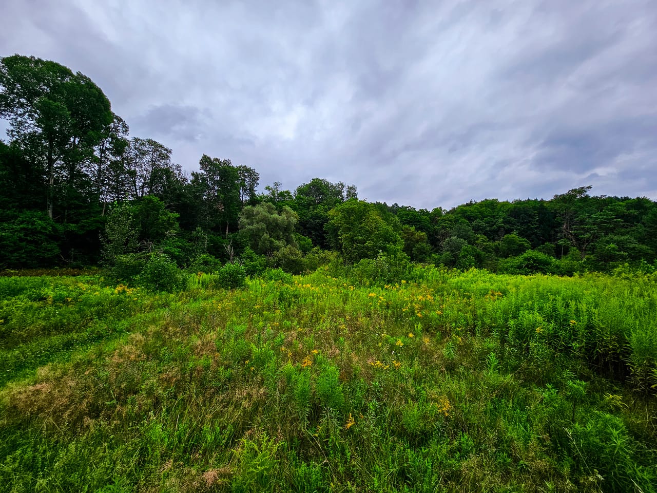 Listing Image 60