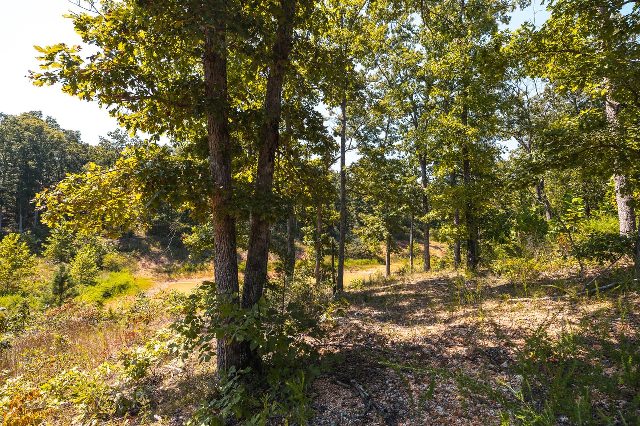 Listing Image 8