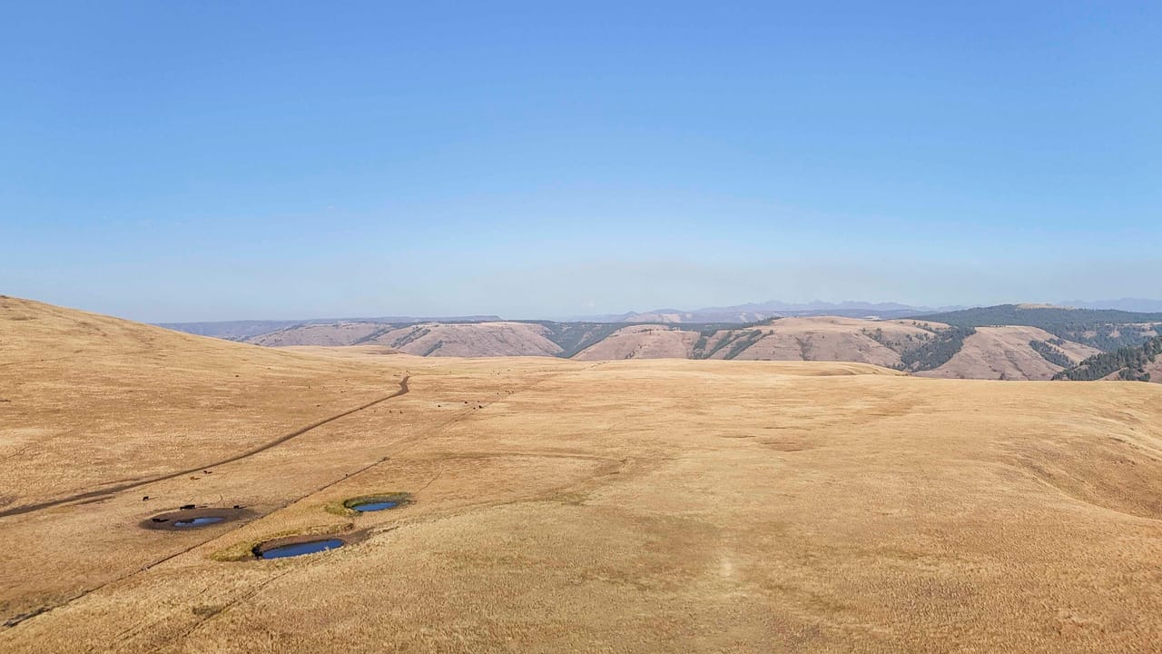 Listing Image 14