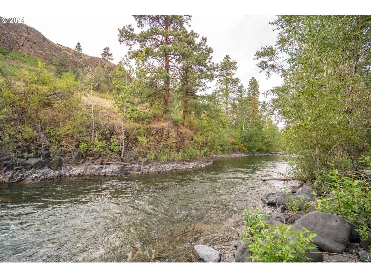 Listing Image 62